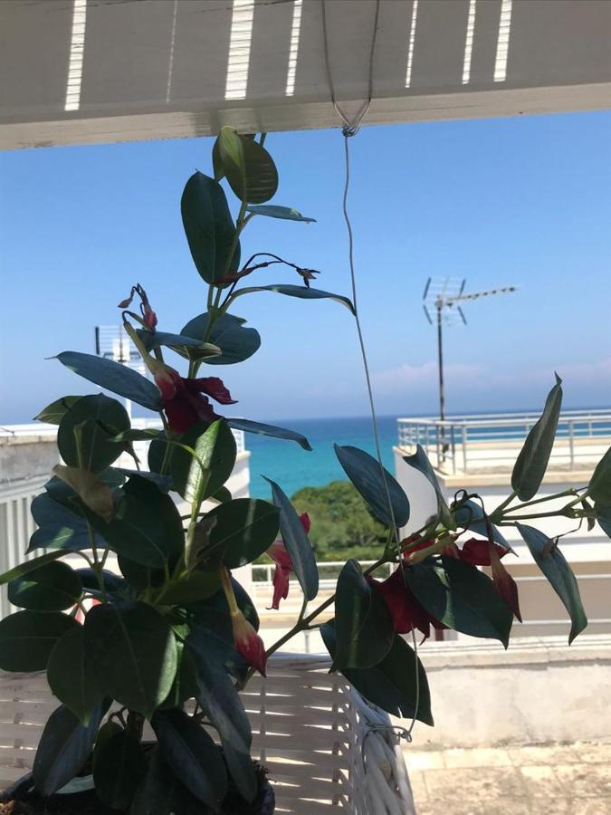 B&B Vistamareblu San Foca Eksteriør billede